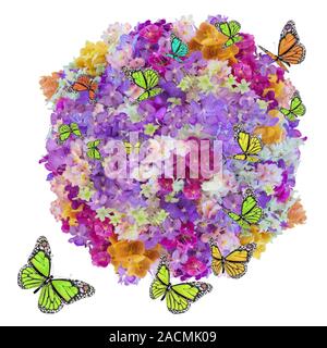 Viel Blume und Schmetterling Stockfoto