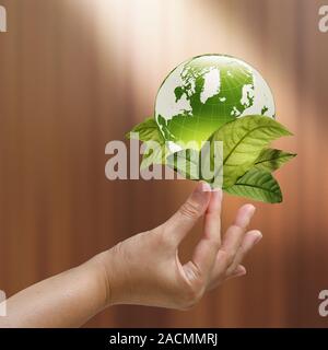 Weibliche Hand, die eine grüne Erde mit einem wachsenden Pflanze Stockfoto