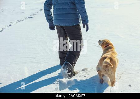 Mann mit Hund gehen auf eine schneereiche Winter Feld Stockfoto