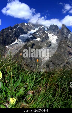 Sommer in den Alpen. Blauer Himmel, grüne Gras im Hintergrund und Vordergrund. Stockfoto