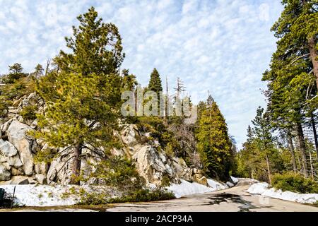 Der Giant Sequoia National Monument in Kalifornien Stockfoto