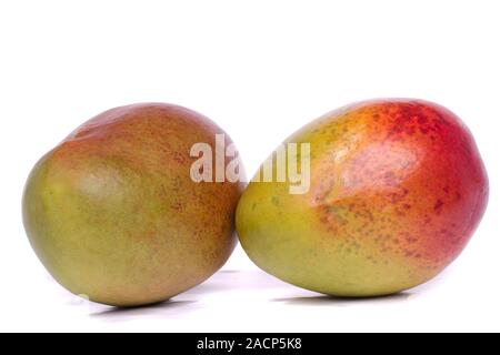 Zwei frische Mango Früchte Stockfoto