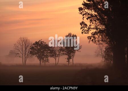 Ländliche Landschaft an einem Herbstmorgen. Stockfoto