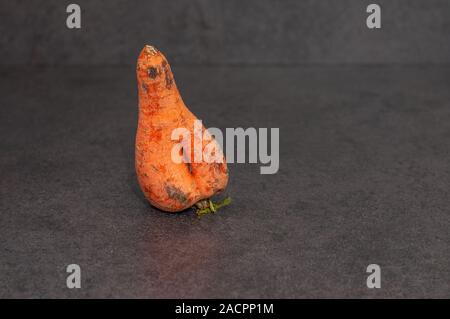 Close-up ein häßliches reif Karotte auf grauem Hintergrund. Platz kopieren Stockfoto