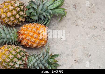 Gelbe Mini Ananas auf grauem Hintergrund. Ananas aus Thailand. Horizontale Ausrichtung. Für Text platzieren. Platz kopieren Stockfoto