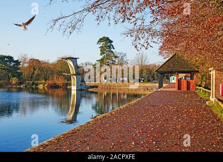 Stillgelegte Sprungbrett und wilde Vögel auf Coate Water Park in Swindon, Wiltshire, Großbritannien Stockfoto