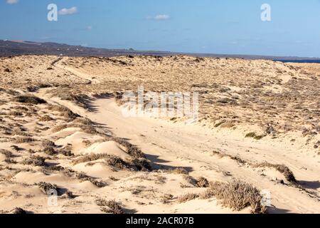 Sandigen steppe Lebensraum in Charco Del Palo auf Lanzarote, Kanarische Inseln. Stockfoto