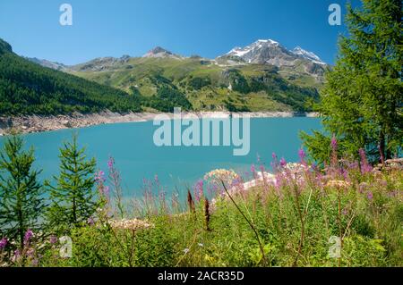 Chevril Damm oder in der Nähe von Dam Tignes Tignes Stadt in der Tarentaise, Savoie (73), Auvergne-Rhone-Alpes, Frankreich Stockfoto