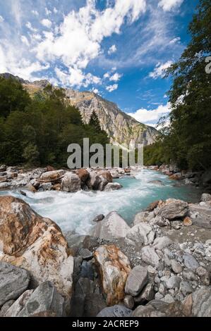 Fluss Veneon im Nationalpark Ecrins, Isere (38), Auvergne-Rhone-Alpes, Frankreich Stockfoto