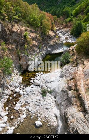 Bach in der Nähe von Col de l'Escrinet, Ardèche (07), Auvergne-Rhone-Alpes, Frankreich Stockfoto