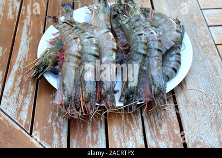 Frische Garnelen in einem Teller auf den Gartentisch. Stockfoto