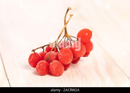 Rote Beeren mit Raureif Der viburnum oder Rowan auf Holz Tisch gedeckt. Viburnum opulus Zweig der Rot Stockfoto
