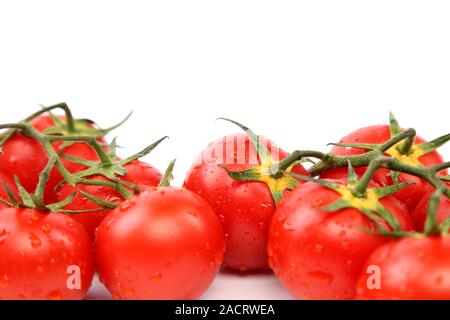 Zwei Gruppen von kleinen roten Tomaten auf einem Ast Stockfoto