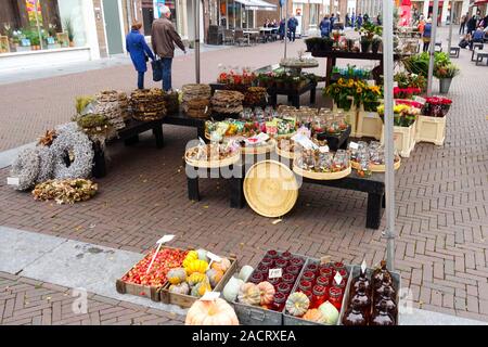 Getrocknete Pflanze zeigt auf ein Open-air-Markt in Middelburg, Zeeland, Niederlande Abschaltdruck Stockfoto