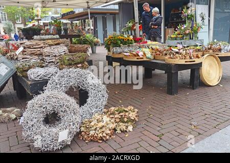 Getrocknete Pflanze zeigt auf ein Open-air-Markt in Middelburg, Zeeland, Niederlande Abschaltdruck Stockfoto