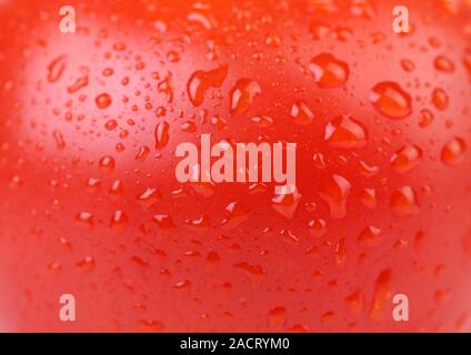 Wassertropfen auf rote Tomate. Hautnah. Stockfoto