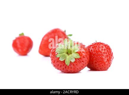 Vier reife Erdbeeren. Stockfoto