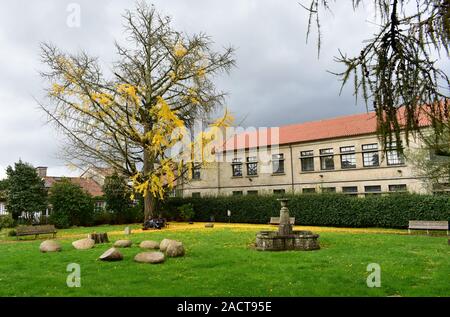 Ein junges Paar, die eine Städtereise in einem Park mit Farben des Herbstes. Sie liest, ist er Zeichnung. Santiago de Compostela, Spanien. November 30, 2019. Stockfoto