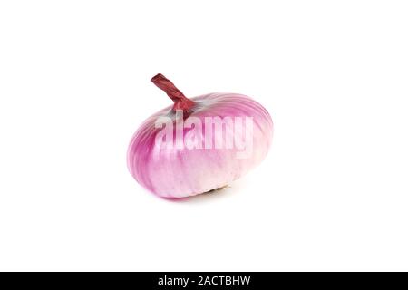 Rote Zwiebel Stockfoto