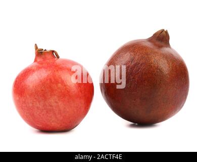 Zwei verschiedene Granatäpfel. Stockfoto