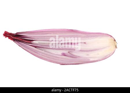 Bio roter Zwiebel in Scheiben geschnitten in der Hälfte Stockfoto