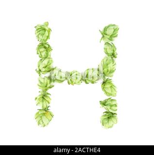 Hop Blumen gelegt in Form des Buchstaben H. Stockfoto