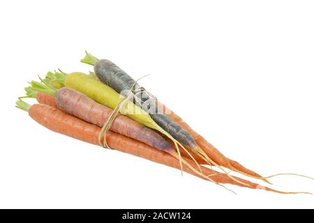 Rohe Karotten in verschiedenen Farben Stockfoto