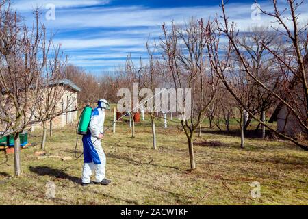 Landwirt in Schutzkleidung und Gasmasken Sprays von Obstbäumen im Obstgarten mit einer Feldspritze mit Chemikalien von pilzerkrankung oder v zu schützen. Stockfoto