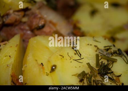Schweinerippchen geschmort mit Kartoffeln, Zwiebeln und Karotten. Home Kochen. Close Up. Stockfoto