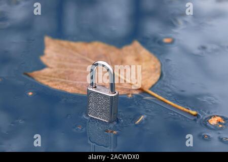 Der Herbst ist vorbei. Vorhängeschloss und Herbst Blatt auf einer nassen Oberfläche von Regen als Symbol für das Ende des Herbstes Stockfoto