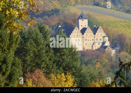 Schloss Mainberg, Schweinfurt County, Unterfranken, Bayern Stockfoto