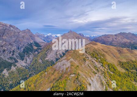 Herbstlicher Sonnenaufgang am Valle Alpisella und Cima Di Pozzin durch Lärchen gerahmt, Luftaufnahme, Livigno, Livigno, Lombardei, Italien Stockfoto