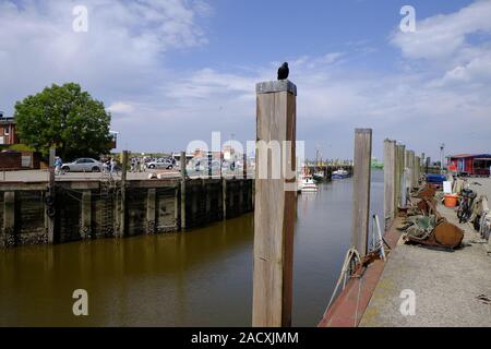 Neuharlingersiel mit Hafen, Strand und Altstadt, Ostfriesland, Niedersachsen, Deutschland Stockfoto