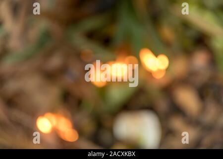 Brennende trockenes Gras im Garten im Frühling Stockfoto