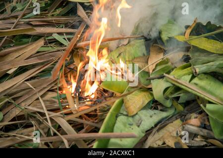 Brennende trockenes Gras im Garten im Frühling Stockfoto