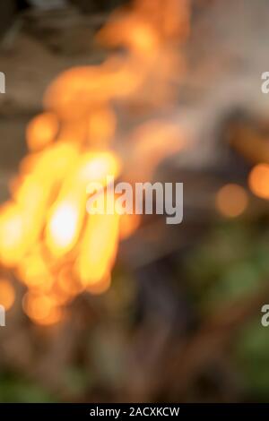 Brennende trockenes Gras im Garten im Frühling Stockfoto