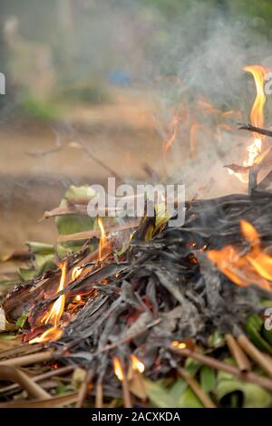 Brennende Papierkorb Blätter und Äste im Garten Stockfoto