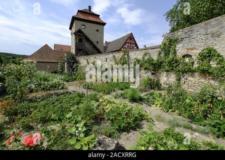 Sommerach am Main, Landkreis Kitzingen, Unterfranken, Bayern, Deutschland Stockfoto