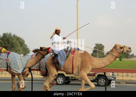 Training für kamelrennen auf der Rennstrecke in Al Marmoun in der Nähe von Dubai Stockfoto