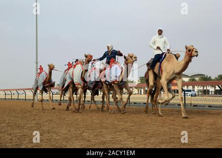 Training für kamelrennen auf der Rennstrecke in Al Marmoun in der Nähe von Dubai Stockfoto