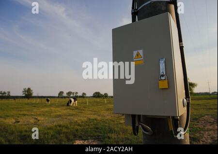 Schaltkasten draußen auf der Wiese mit Stahl Vorhängeschloss verschlossen Stockfoto