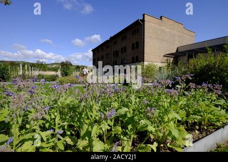 Kloster Schulpforte Schulpforte mit Kloster Garten in der Nähe von Naumburg auf der Straße der Romanik, Burgenlandkreis, Sachsen-Anhalt, G Stockfoto