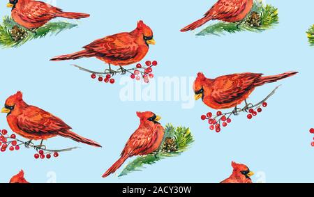 Kardinal Vögel auf den Ästen mit roten Beeren und Kiefer Zweig, Handgemalten Aquarell Illustration, nahtlose Muster Design auf weichem blauem Hintergrund Stockfoto