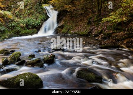 Peiran Wasserfall im Hafod Immobilien West Wales, im Herbst mit einer langen Verschlusszeit der Strömung von Wasser zu erfassen, Stockfoto