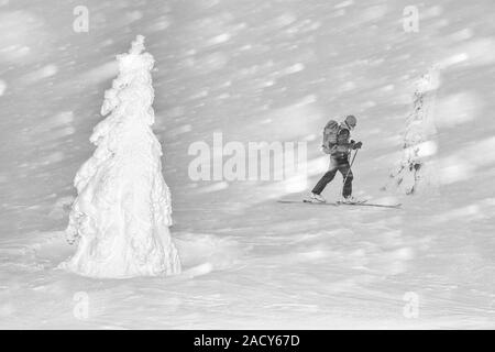 Skifahrer, Snow Drift, Dundret Naturschutzgebiet, Lappland, Schweden Stockfoto