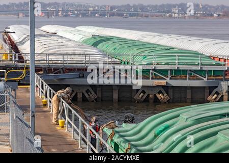 Illinois City, Illinois - Mitarbeiter binden Lastkähne mit Mais und Sojabohnen in Sperren & Damm Nr. 16 auf den oberen Mississippi River. Wenn der Wasserstand ist Stockfoto