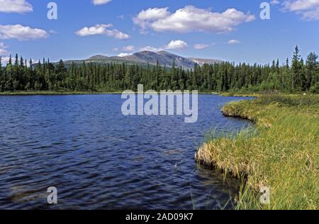 Blick vom See auf Tjaktjaure Ivarlako Gipfel im Sarek Nationalpark Stockfoto