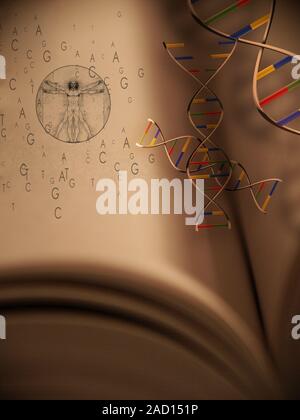 Der Genesis. DNA-Stränge und Der Vitruvianische Mensch Stockfoto