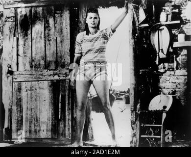 Sophia Loren, Werbung Portrait für den Film "Der Fluss Mädchen" (Italienisch: La donna del Fiume), Lux Film- & Minerva Film (Italien), Columbia Pictures (USA), 1954 Stockfoto