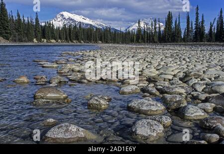 Athabasca River mit dem Berg Hardisty und Mount Kerkeslin/Jasper Nationalpark - Kanada Stockfoto